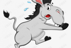 毛驴漫画,趣味横生的动物世界