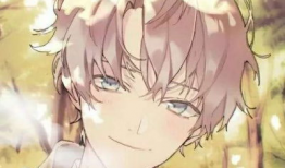 最帅漫画图,揭秘最帅漫画图背后的故事